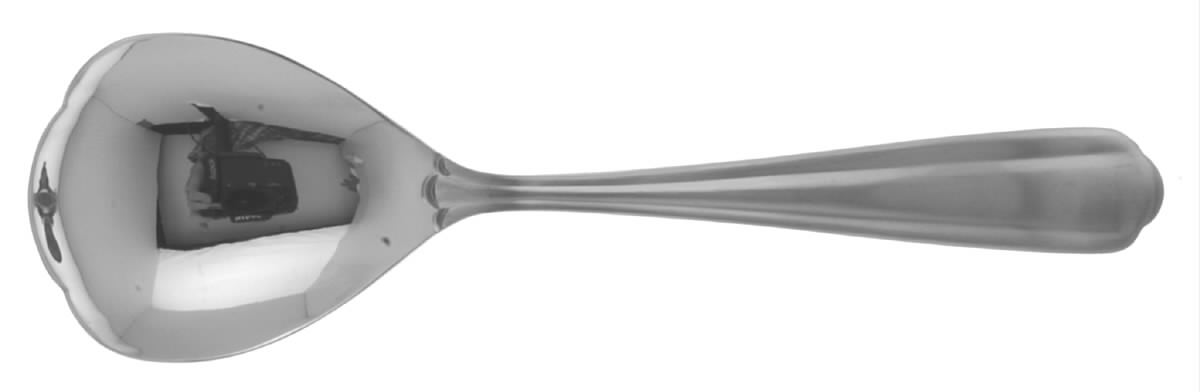 Aurora (Stainless) Solid Serving Spoon by Yamazaki-1