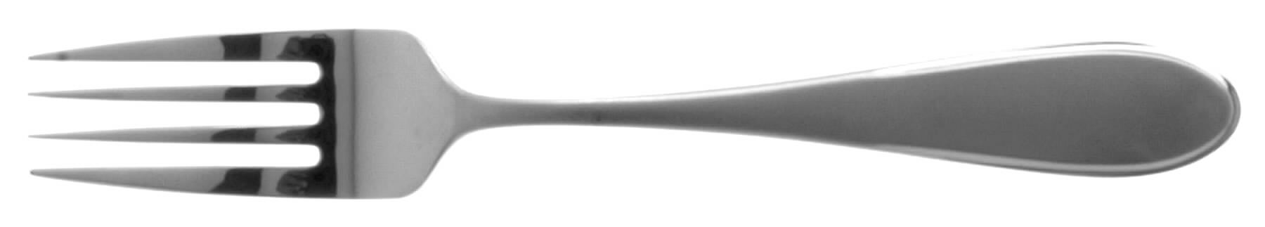 Austen Ice-Harmony Ice (Stainless) Individual Salad Fork by Yamazaki-1