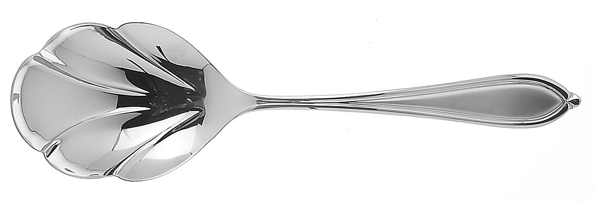 Ariana Ice (Stainless) Solid Serving Spoon by Yamazaki-1