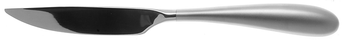 Aquatique Ice (Stainless) Individual Steak Knife Hollow Handle by Yamazaki-1