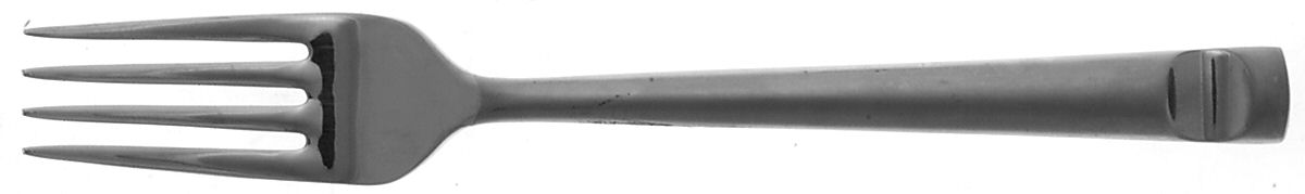 Eschelle Ice (Stainless) Individual Salad Fork by Yamazaki-1