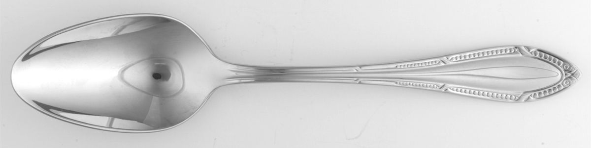 Senator (Stainless) Tablespoon (Serving Spoon) by Zepter-1