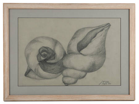 Framed Signed Jose Joya Seashell Sketch on Paper