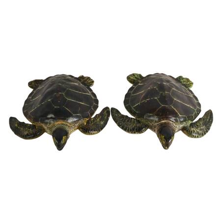 Pair of Decorative Rubber Sea Turtles