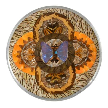 Brazilian Butterfly Wing Plate with Metal Trim