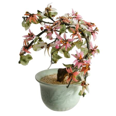 Chinese Bonsai Jade Tree in Celadon Pot