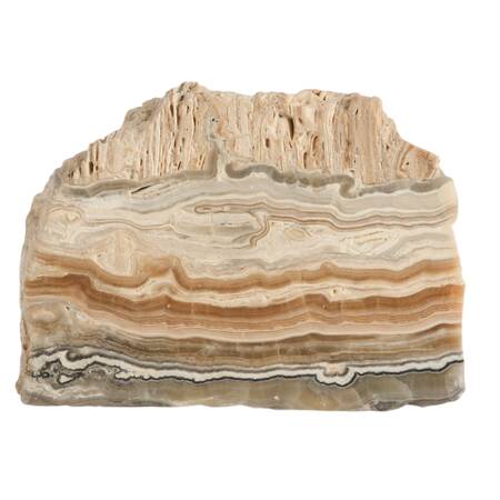 Natural Zebra Calcite Slab