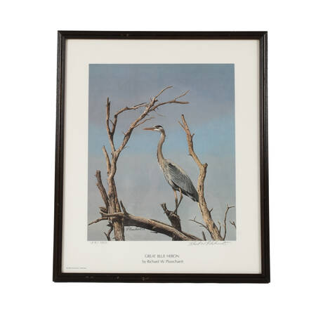 Framed Print of Richard W Plasschaert's "Great Blue Heron" Numbered 158/750