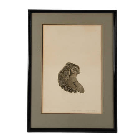 Framed Paper Print "Condor Man" Signed and Numbered