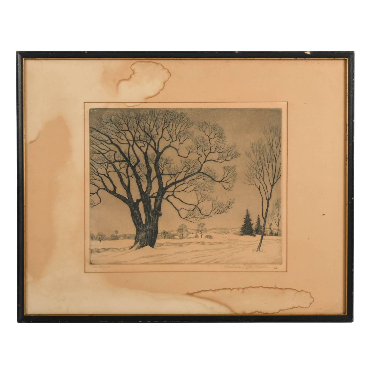 "The Sentinel" by William MacLean Original Etching