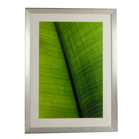 Framed Green Banana Leaf Macro Photograph