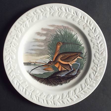 Birds of America Dinner Plate