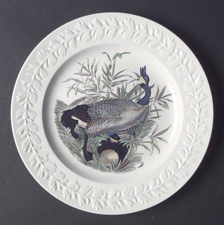 Birds of America Dinner Plate