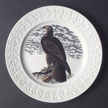 Birds of America Dinner Plate
