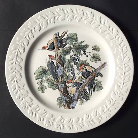 Birds of America Dinner Plate by Adams China