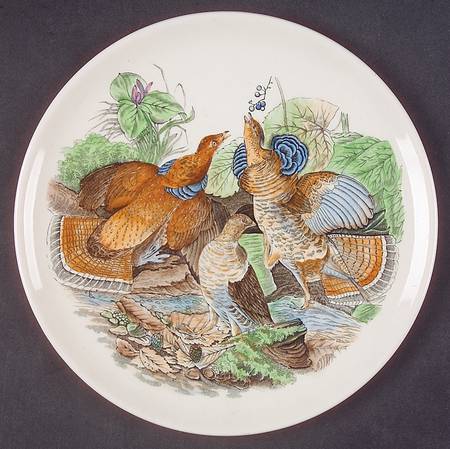 Birds of America Coupe Dessert Plate