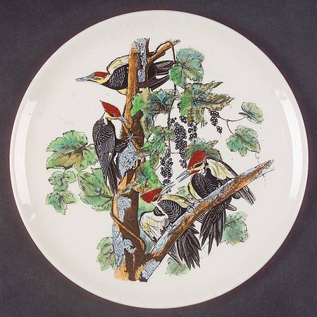 Birds of America Coupe Dessert Plate