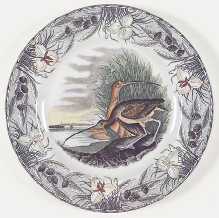 Birds of America (Floral Border) Dinner Plate