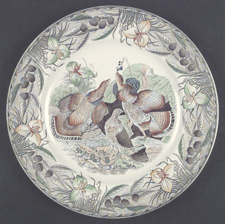 Birds of America (Floral Border) Dinner Plate