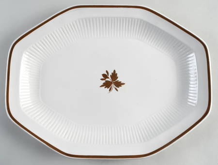 Tea Leaf Copper 15" Oval Serving Platter by Adams China