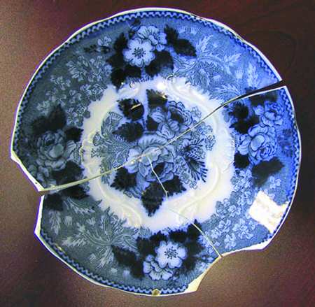 Wild Rose (Flow Blue) Saucer