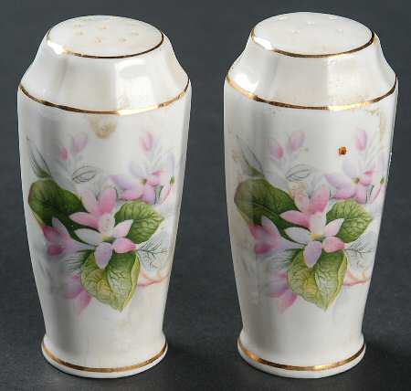 Mayflower Salt & Pepper Set