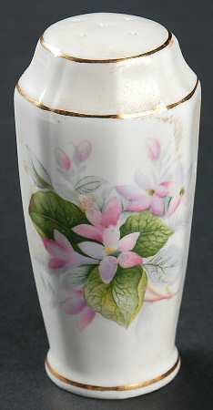 Mayflower Salt Shaker