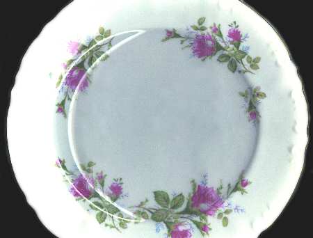 ALA5 Dinner Plate
