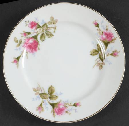 Moss Rose Bread & Butter Plate by Aladdin