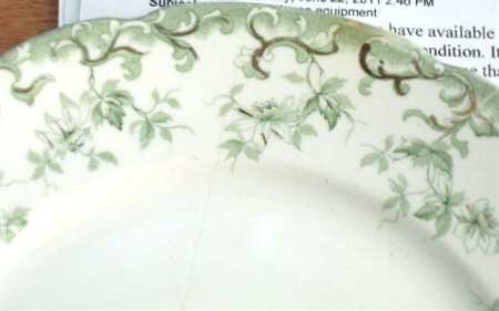 Oxford Green Dinner Plate