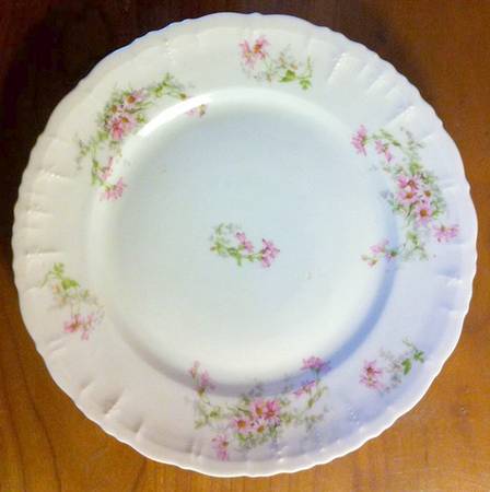 ALT107 Dinner Plate