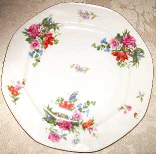 ALT21 Dinner Plate