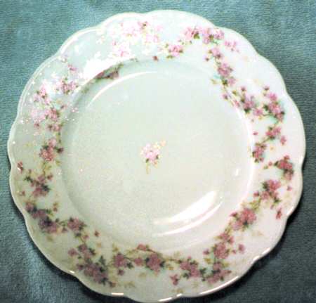 ALT63 Dinner Plate