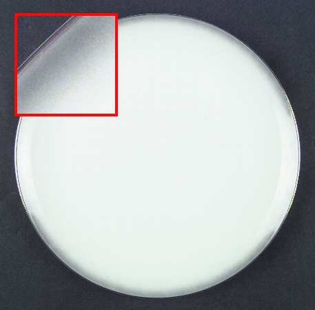 Angelique Dinner Plate