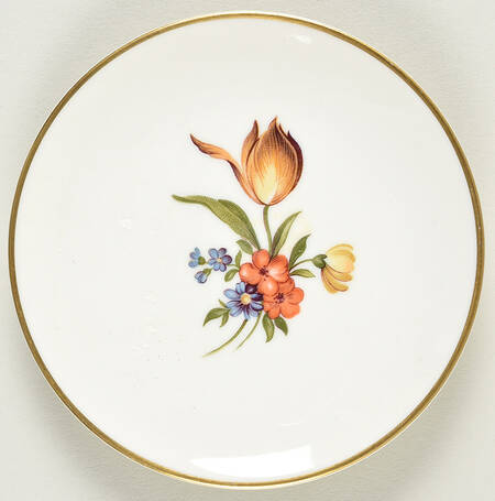Evangeline Coaster
