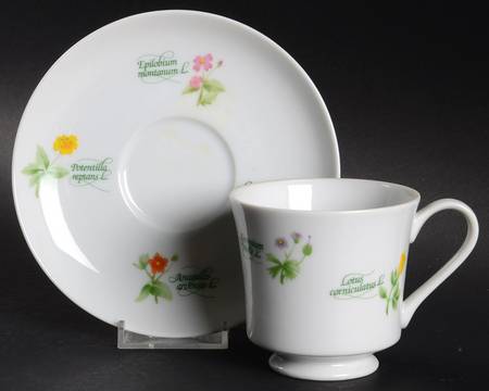 Floret Footed Cup & Saucer Set