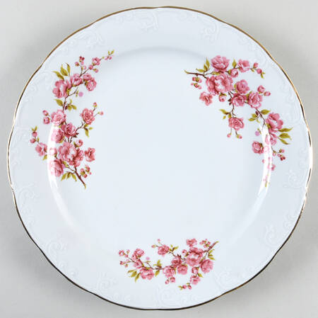 APO1 Dinner Plate