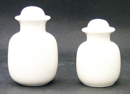 Arctica Salt & Pepper Set