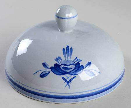 Blue Rose Toast Cover