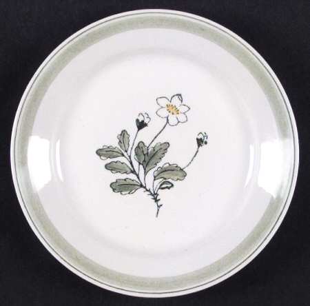 Suvi Salad Plate