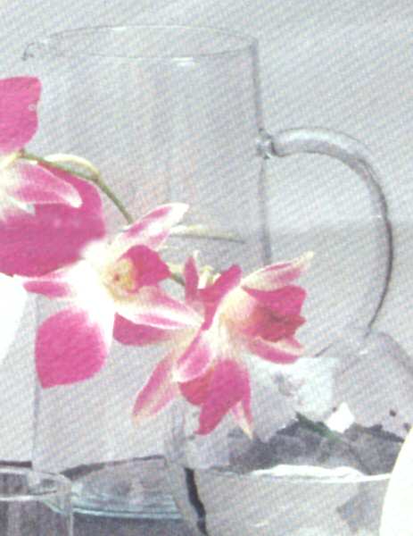 Diana Pitcher