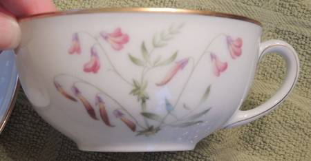 ARZ17 Flat Cup