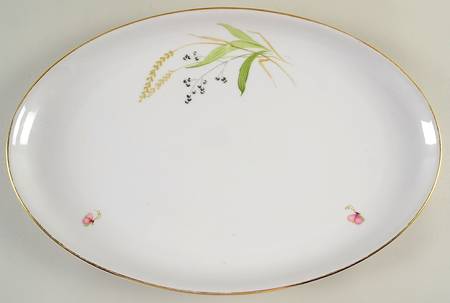 ARZ2 16" Oval Serving Platter