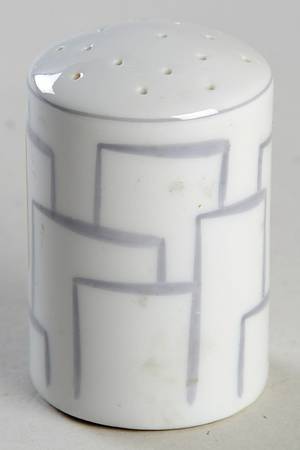 ARZ24 Salt Shaker