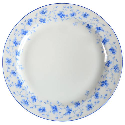 Blue Flowers (Blue Trim, Rim) Salad Plate