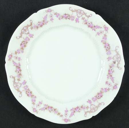VNN2 Dinner Plate