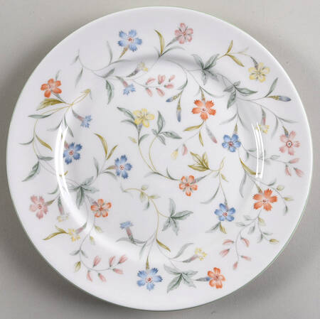 Forever Salad Plate by John  Aynsley & Sons