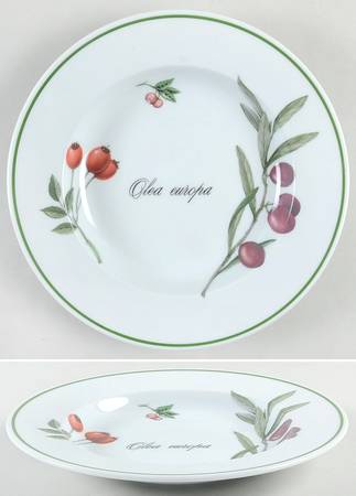 Elysian Gardens Large Rim Soup Bowl