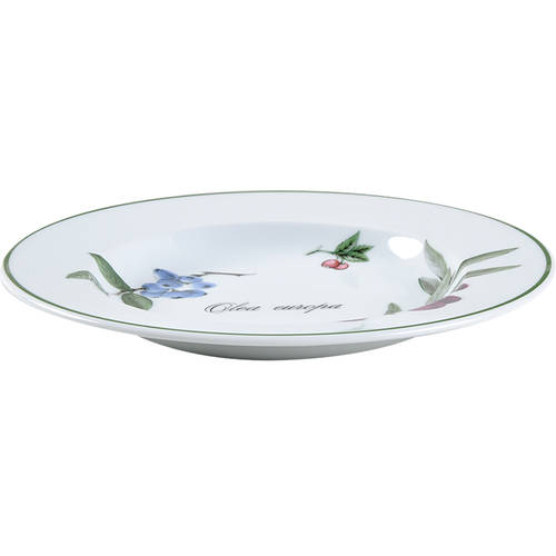 Elysian Gardens Large Rim Soup Bowl