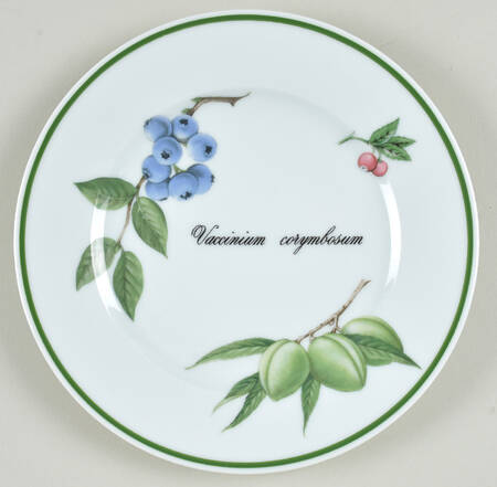 Elysian Gardens Dessert/Pie Plate